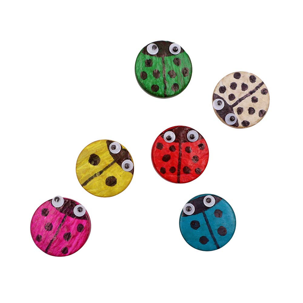 Hi̇ndi̇stan Cevi̇zi̇ Kabuklu Çemberler-25mm - Renkli̇ 250g